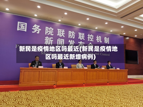 新民是疫情地区吗最近(新民是疫情地区吗最近新增病例)-第3张图片