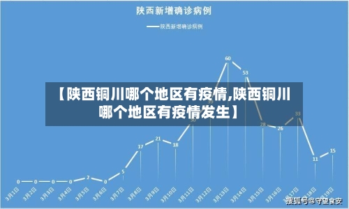 【陕西铜川哪个地区有疫情,陕西铜川哪个地区有疫情发生】