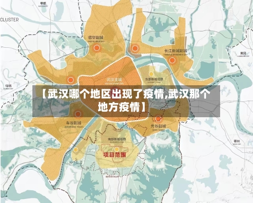 【武汉哪个地区出现了疫情,武汉那个地方疫情】