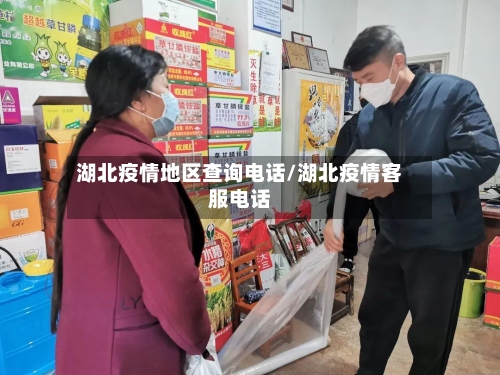 湖北疫情地区查询电话/湖北疫情客服电话-第3张图片