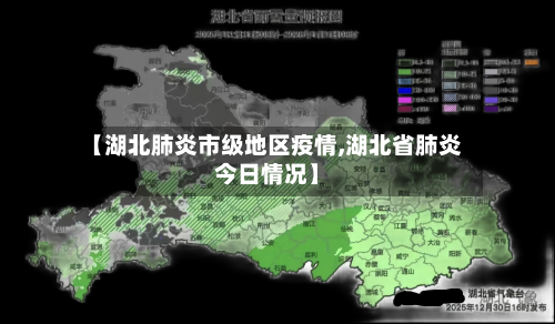 【湖北肺炎市级地区疫情,湖北省肺炎今日情况】-第3张图片