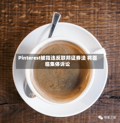 Pinterest被指违反联邦证券法 将面临集体诉讼-第2张图片