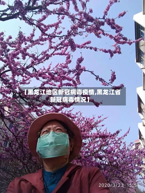 【黑龙江地区新冠病毒疫情,黑龙江省新冠病毒情况】-第1张图片