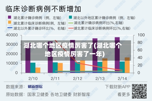 湖北哪个地区疫情厉害了(湖北哪个地区疫情厉害了一年)-第2张图片
