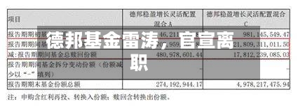 德邦基金雷涛，官宣离职-第3张图片