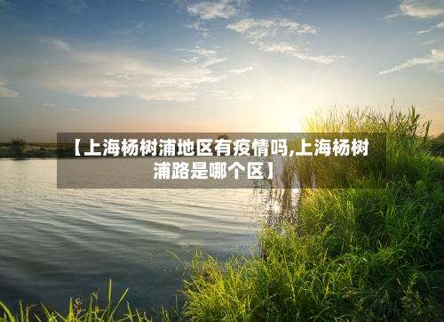 【上海杨树浦地区有疫情吗,上海杨树浦路是哪个区】-第3张图片