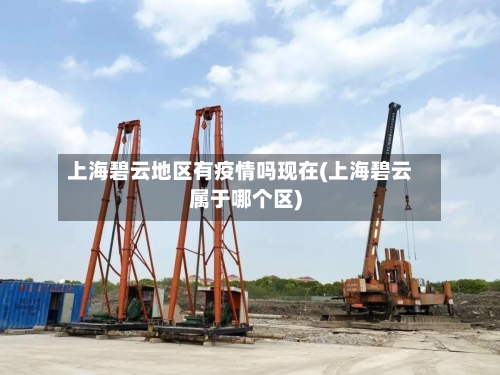 上海碧云地区有疫情吗现在(上海碧云属于哪个区)
