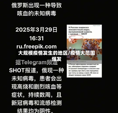 大规模疫情发生的地区/疫情大范围爆发