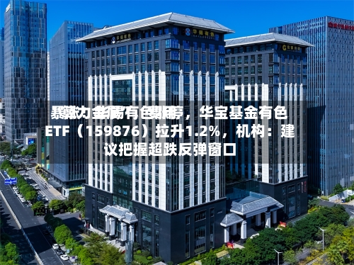 “算力金属”，费用暴涨！华锡有色涨停，华宝基金有色ETF（159876）拉升1.2%，机构：建议把握超跌反弹窗口