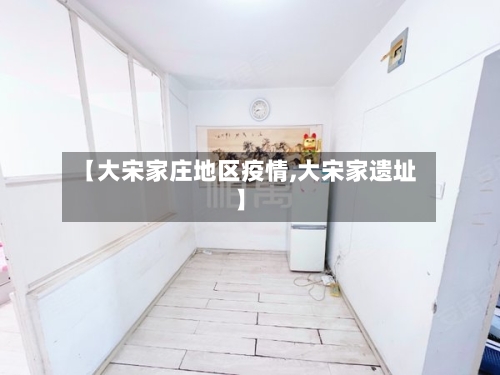 【大宋家庄地区疫情,大宋家遗址】-第2张图片