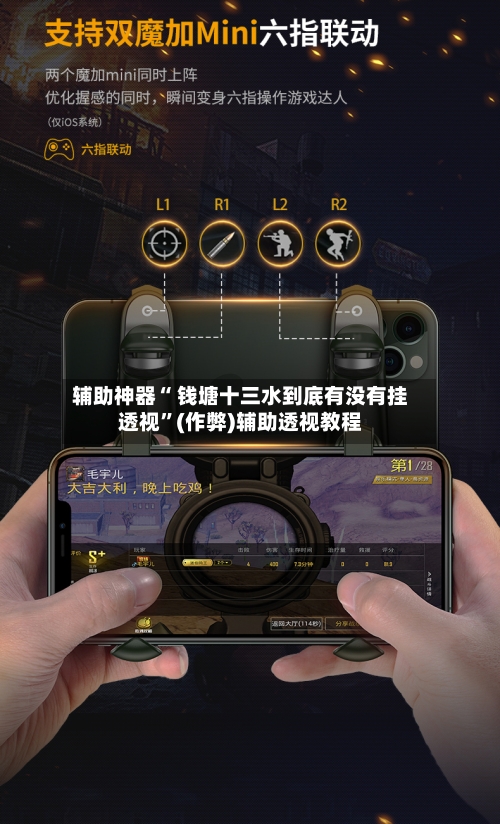 辅助神器“ 钱塘十三水到底有没有挂透视	”(作弊)辅助透视教程-第3张图片