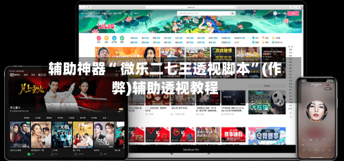 辅助神器“ 微乐二七王透视脚本”(作弊)辅助透视教程-第2张图片