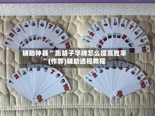 辅助神器“ 跑胡子字牌怎么提高胜率	”(作弊)辅助透视教程-第3张图片
