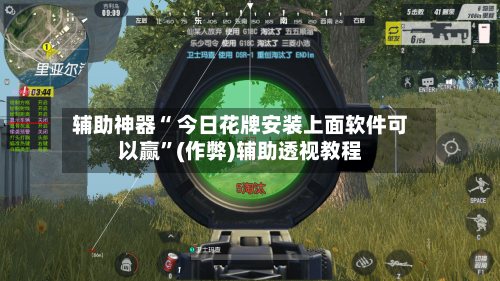 辅助神器“ 今日花牌安装上面软件可以赢	”(作弊)辅助透视教程-第2张图片