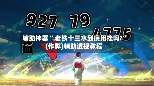 辅助神器“ 老铁十三水到底用挂吗?”(作弊)辅助透视教程-第2张图片