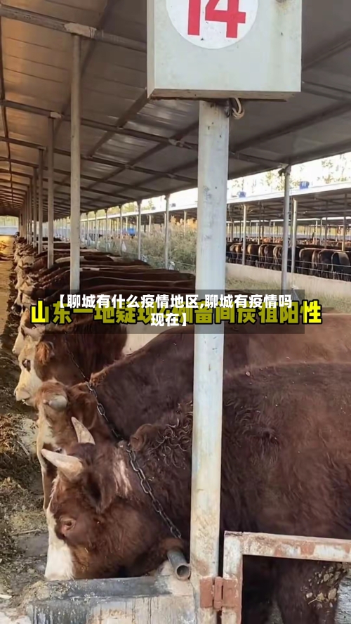 【聊城有什么疫情地区,聊城有疫情吗现在】