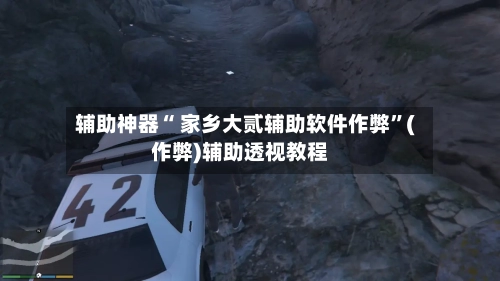 辅助神器“ 家乡大贰辅助软件作弊	”(作弊)辅助透视教程-第2张图片