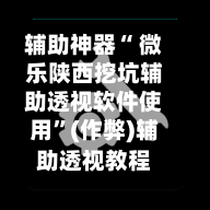 辅助神器“ 微乐陕西挖坑辅助透视软件使用”(作弊)辅助透视教程-第2张图片
