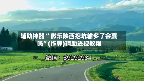 辅助神器“ 微乐陕西挖坑输多了会赢吗”(作弊)辅助透视教程