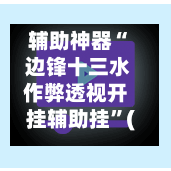 辅助神器“ 边锋十三水作弊透视开挂辅助挂	”(作弊)辅助透视教程-第3张图片