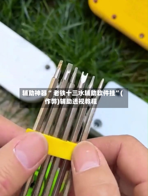 辅助神器“ 老铁十三水辅助软件挂”(作弊)辅助透视教程