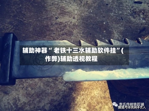 辅助神器“ 老铁十三水辅助软件挂”(作弊)辅助透视教程-第2张图片
