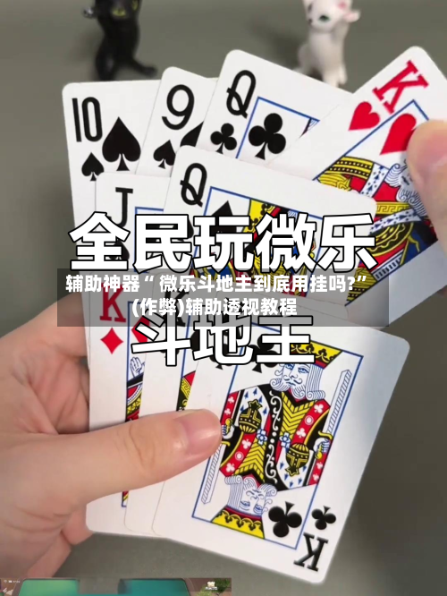 辅助神器“ 微乐斗地主到底用挂吗?”(作弊)辅助透视教程