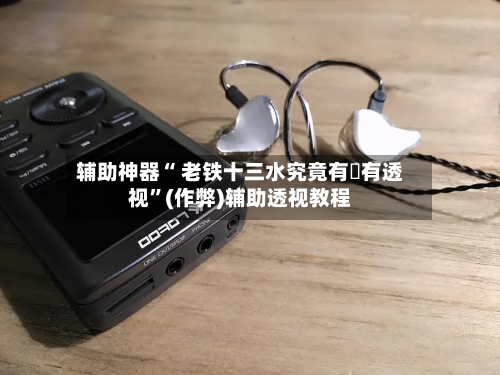 辅助神器“ 老铁十三水究竟有沒有透视”(作弊)辅助透视教程