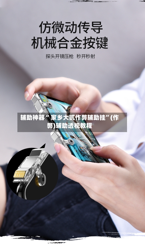 辅助神器“ 家乡大贰作弊辅助挂”(作弊)辅助透视教程-第2张图片