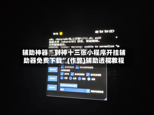 辅助神器“ 财神十三张小程序开挂辅助器免费下载”(作弊)辅助透视教程-第3张图片