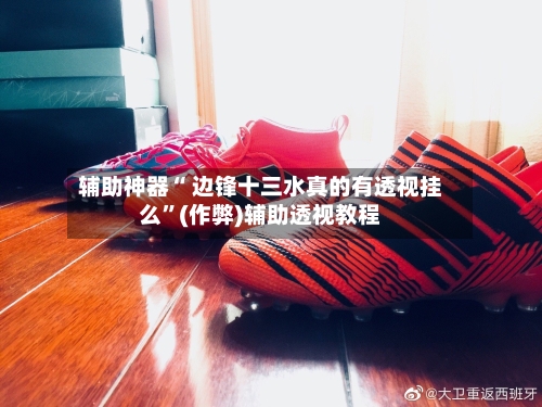 辅助神器“ 边锋十三水真的有透视挂么”(作弊)辅助透视教程-第2张图片