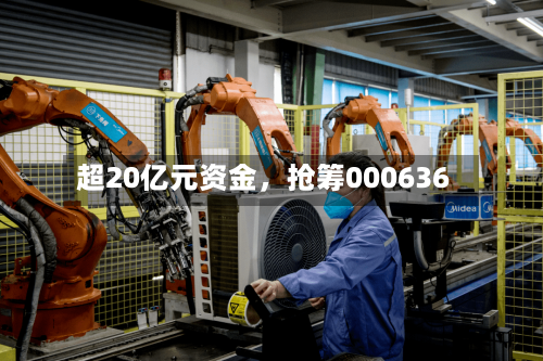 超20亿元资金	，抢筹000636-第2张图片