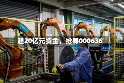 超20亿元资金，抢筹000636-第3张图片