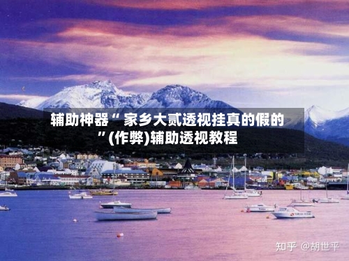 辅助神器“ 家乡大贰透视挂真的假的”(作弊)辅助透视教程-第2张图片