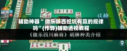 辅助神器“ 微乐陕西挖坑有赢的规律吗	”(作弊)辅助透视教程-第3张图片