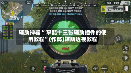 辅助神器“ 掌酷十三张辅助插件的使用教程”(作弊)辅助透视教程-第2张图片