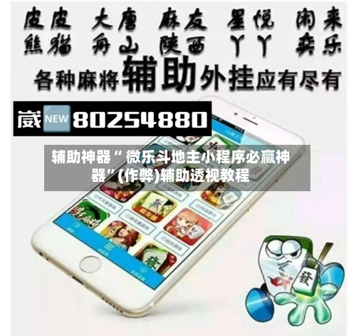 辅助神器“ 微乐斗地主小程序必赢神器”(作弊)辅助透视教程-第3张图片