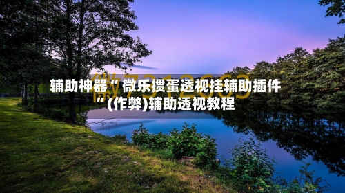 辅助神器“ 微乐掼蛋透视挂辅助插件”(作弊)辅助透视教程-第2张图片