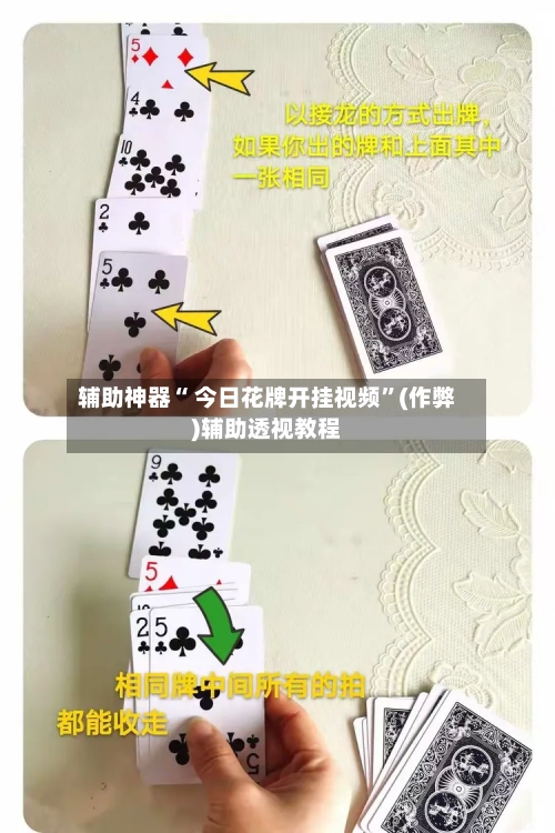 辅助神器“ 今日花牌开挂视频”(作弊)辅助透视教程-第2张图片