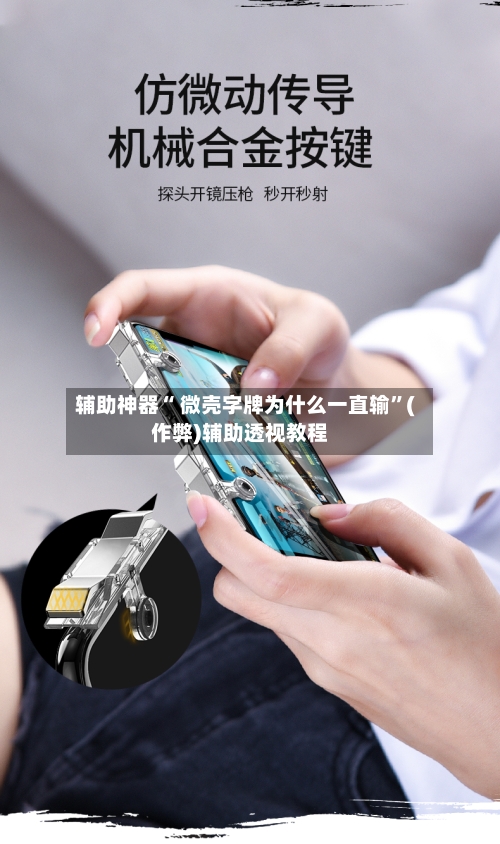 辅助神器“ 微壳字牌为什么一直输”(作弊)辅助透视教程-第2张图片