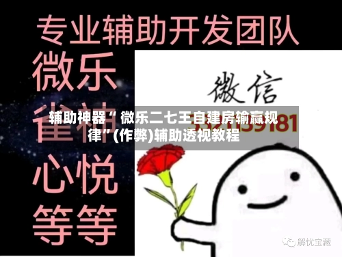 辅助神器“ 微乐二七王自建房输赢规律	”(作弊)辅助透视教程-第3张图片