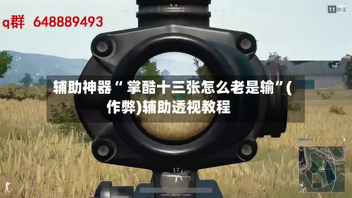 辅助神器“ 掌酷十三张怎么老是输”(作弊)辅助透视教程-第2张图片