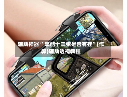 辅助神器“ 掌酷十三张是否有挂”(作弊)辅助透视教程-第3张图片