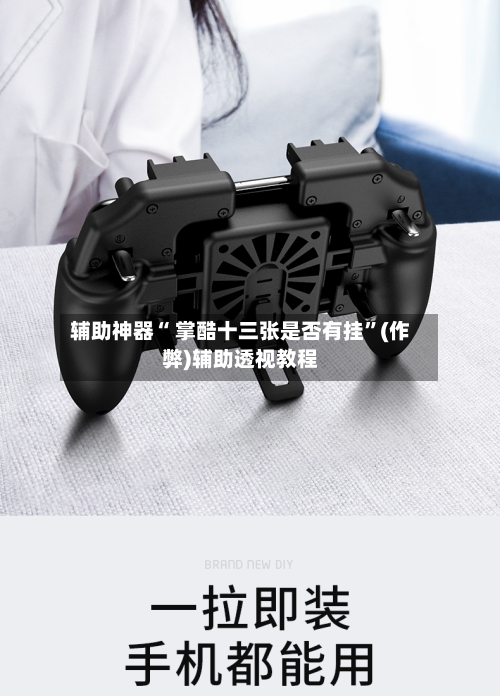 辅助神器“ 掌酷十三张是否有挂”(作弊)辅助透视教程-第2张图片