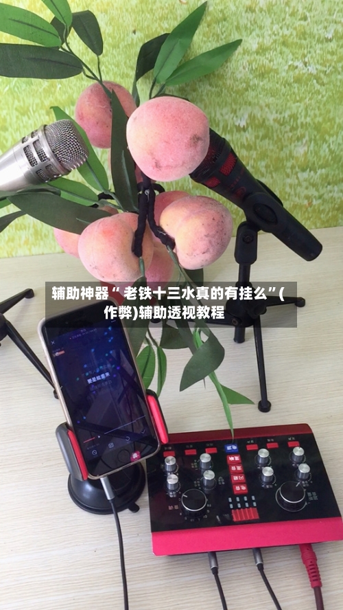 辅助神器“ 老铁十三水真的有挂么”(作弊)辅助透视教程-第2张图片