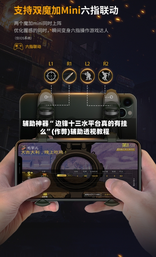 辅助神器“ 边锋十三水平台真的有挂么”(作弊)辅助透视教程-第2张图片