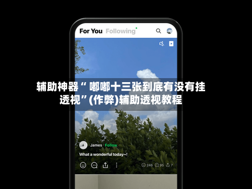 辅助神器“ 嘟嘟十三张到底有没有挂透视”(作弊)辅助透视教程-第2张图片