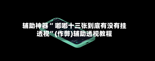 辅助神器“ 嘟嘟十三张到底有没有挂透视”(作弊)辅助透视教程-第3张图片