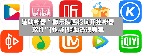 辅助神器“ 微乐陕西挖坑开挂神器软件”(作弊)辅助透视教程-第2张图片