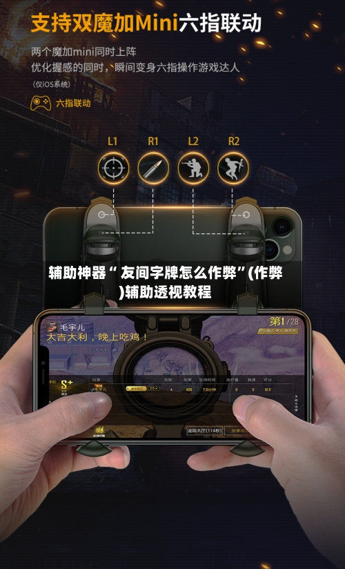 辅助神器“ 友间字牌怎么作弊	”(作弊)辅助透视教程-第3张图片